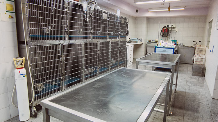 hospital-veterinari-manresa